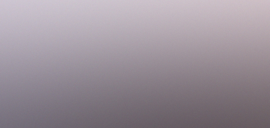 peach colored background